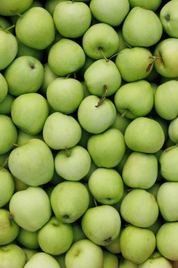 Birçok taze yeşil elma bir araya toplanmış, parlak, canlı renklerini ve doğal cazibelerini sergiliyorlar.