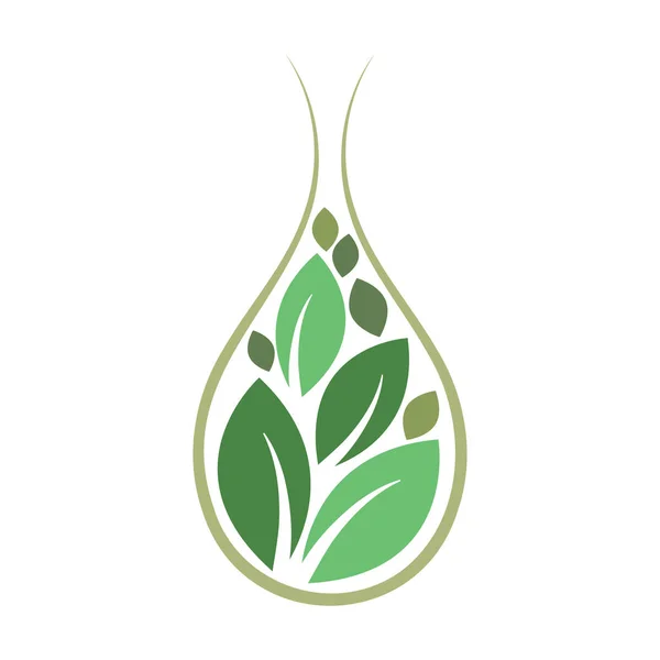 Drop Mit Blättern Vektor Icon Design Bunte Grüne Blätter Symbolisieren — Stockvektor