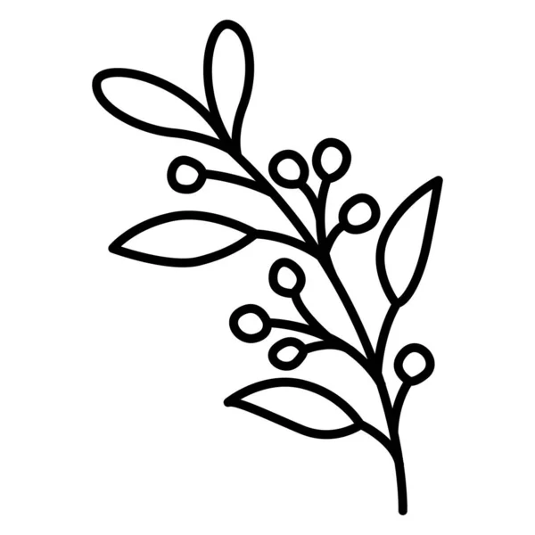 Olivenzweig Vektor Icon Design Botanisches Flach Symbol — Stockvektor