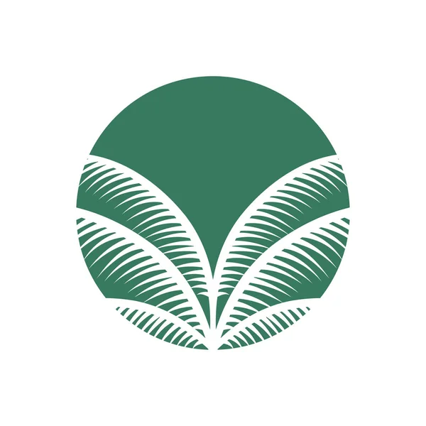 Soyut Palmiye Yaprakları Daire Vektör Ikonu Tasarımı Temiz Yeşil Logo — Stok Vektör