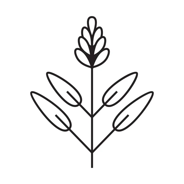 Desenho Ícone Vetorial Flores Silvestres Ícone Plano Floral — Vetor de Stock