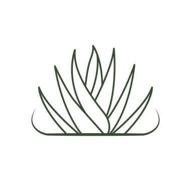 Aloe vera vektör ikonu tasarımı. Bitki organik logo bırakır.