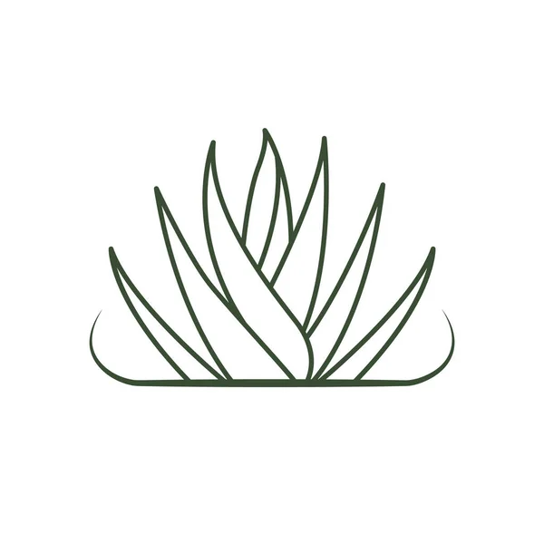 Дизайн Векторной Иконки Алоэ Вера Травяные Листья Органический Логотип Стоковый вектор