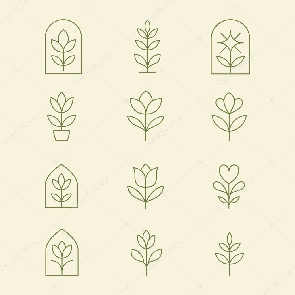 Delicate line art floral and leaf icons with a modern minimal look. Perfect for eco branding, labels, packaging, and nature-themed designs.