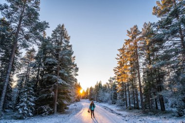 A lonely woman tourist visiting countryside tranquil snowy frozen seashore with sunset through the horizon surrounded by pine trees under the blue sky