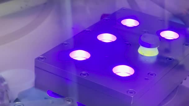 Σύγχρονη Επιστημονική Φωτοχημική Αντίδραση Κάτω Από Υπεριώδες Φως Πρόοδος Φωτός — Αρχείο Βίντεο