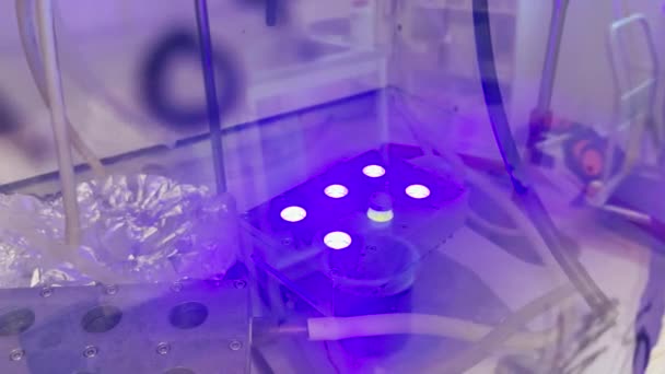 Moderní Vědecká Fotochemická Reakce Pod Světlem Předsunuté Světlo Vyvolalo Chemickou — Stock video