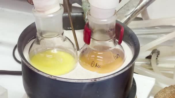 Coloridas Reacciones Condiciones Calentamiento Baño Arena Experimentos Video Laboratorio Química — Vídeo de stock