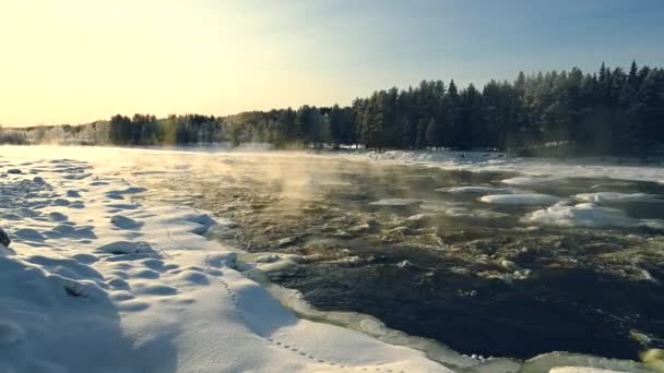 Winter Flusslandschaft Wasserdampf Aus Dem Wasserfluss Landschaft Mit Verschneiten Bäumen — Stockvideo