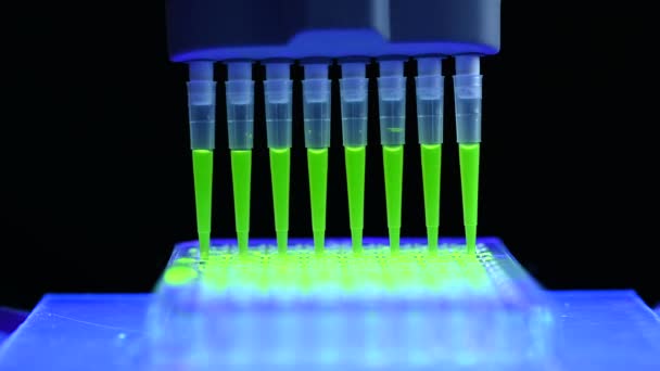 Pipette 실험실의 어두운 배경을 가지고 의학적 연구를 플루오르 화합물을 미생물학 — 비디오