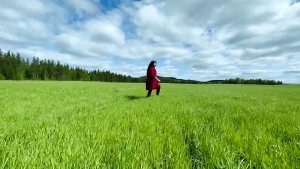 Mooie Vrouw Loopt Alleen Groen Grasveld Langs Weiden Met Bewolkte — Stockvideo