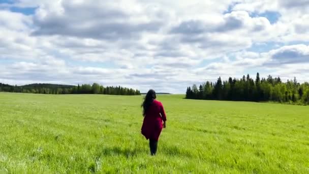 Hermosa Mujer Camina Sola Campo Hierba Verde Más Allá Los — Vídeo de stock