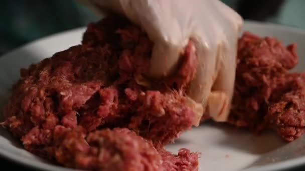家は牛肉ケバブの準備をしました スパイスで作った美味しい牛肉ケバブ 4Kコピースペース — ストック動画