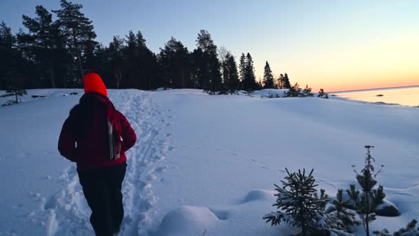Femeie Bucură Fotografiază Peisajul Zăpadă Fata Vesela Bucura Frumoasa Iarna — Videoclip de stoc