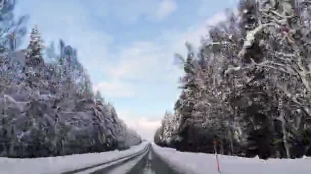 Kjøring Snødekket Vei Tidsforløp Klar Himmel Horisont Sollys Toppen Furutrærne – stockvideo