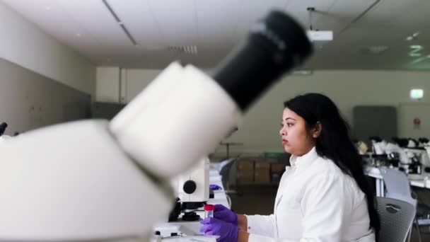 Fechar Olhos Uma Investigadora Feminina Olhar Para Amostras Microscópio Microbiólogo — Vídeo de Stock