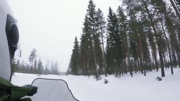 Aventura Video Moto Nieve Naturaleza Con Árboles Ramificados Alrededor Durante — Vídeo de stock