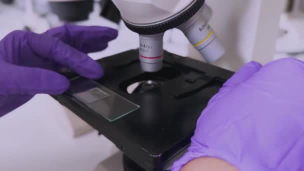 Forscherinnen Betrachten Proben Unter Dem Mikroskop Mikrobiologe Arbeitet Modernen Labor — Stockvideo