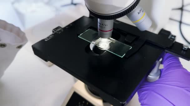 Forscherinnen Betrachten Proben Unter Dem Mikroskop Mikrobiologe Arbeitet Modernen Labor — Stockvideo
