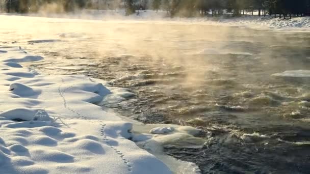 Paisagem Natal Inverno Congelada Vapor Água Proveniente Fluxo Água Paisagem — Vídeo de Stock