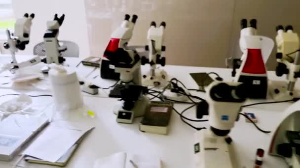 女性研究科学家在显微镜下观察样品 4K微生物学家与技术设备在现代实验室工作 生物化学 — 图库视频影像