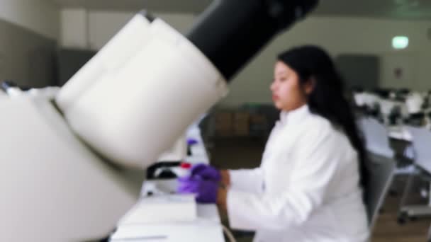 Chercheuse Scientifique Qui Examine Des Échantillons Microscope Microbiologiste Travaillant Laboratoire — Video