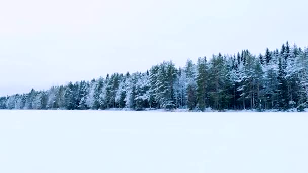 凍った湖で白い雪の上を歩くファッションウィンタージャケットのソロ女性観光客 雪で覆われたホライゾンの木 — ストック動画