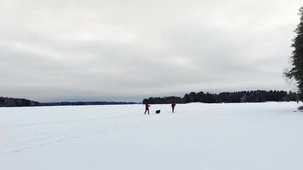 Solo Vrouw Toerist Mode Winterjas Wandelen Witte Sneeuw Het Bevroren — Stockvideo