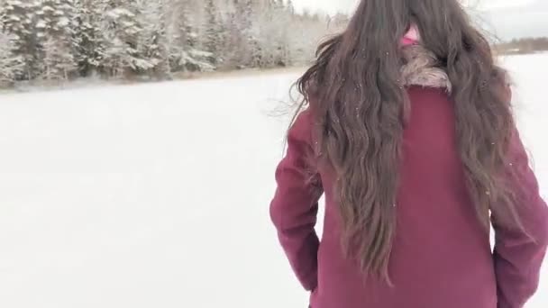 호수에 재킷에 관광객 눈으로 지평선 — 비디오