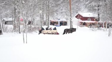 Umea, İsveç - 9 Aralık 2023. Yılbaşı atı kar yağışı altında. Kış manzarası - ormanda atlı bir kızakla karlı yol manzarası.