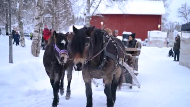 Umea Szwecja Grudnia 2023 Świąteczny Koń Jeżdżący Śniegu Zimowy Krajobraz — Wideo stockowe