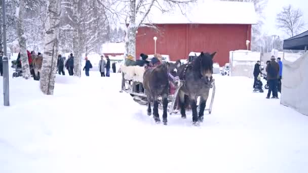 ウメア スウェーデン 2023年12月9日 雪の中を走るクリスマス馬 冬の風景 森の中で馬が眠っている雪の道の景色 — ストック動画