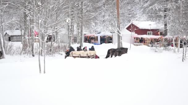 Umea Szwecja Grudnia 2023 Świąteczny Koń Jeżdżący Śniegu Zimowy Krajobraz — Wideo stockowe