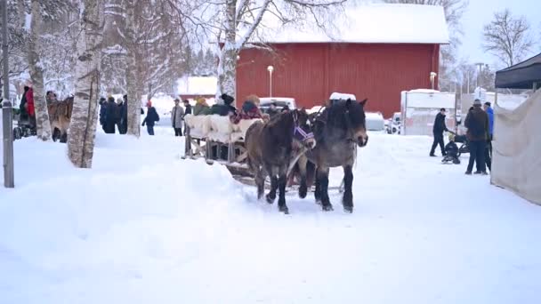瑞典尤美亚 2023年12月9日 在降雪中骑马的圣诞马 冬季风景 森林里骑着雪橇的雪地公路景观 — 图库视频影像