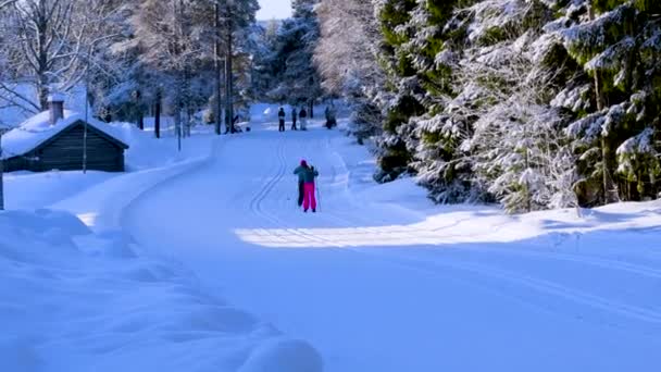 Группа Людей Катается Лыжах Трассе Лыжной Зоне Зимой Солнечными Лучами — стоковое видео