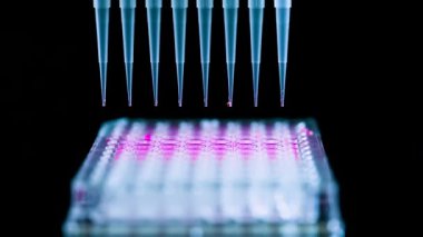 Çoklu kanal pipeti tutan bilim adamı, biyomedikal araştırmalar için plastik uçlarla pembe bileşik solüsyon çekiyor ve arka planda kimya laboratuvarında model bileşikler bulunuyor.
