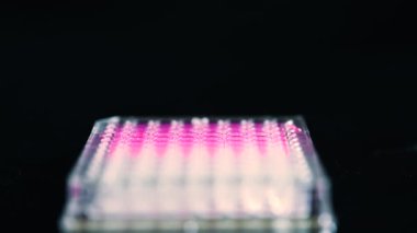 Çoklu kanal pipeti tutan bilim adamı, biyomedikal araştırmalar için plastik uçlarla pembe bileşik solüsyon çekiyor ve arka planda kimya laboratuvarında model bileşikler bulunuyor.