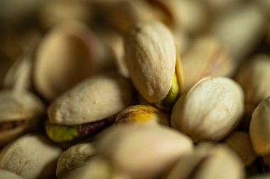 Fıstıklı fındık. Yığınla fıstık var. Yeşil arka planda izole edilmiş sağlıklı organik fındık. Kopyalama alanı