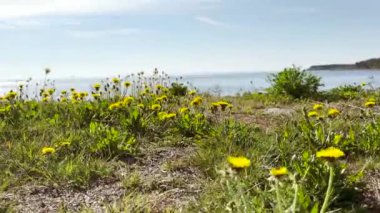 4K Majestic güneşli deniz ufkuyla manzara. İnanılmaz bir deniz feneri ve gökyüzü bulutları. Renkli beyaz bulutlar Doğa çevre arkaplanı.