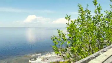 4K Majestic güneşli deniz ufkuyla manzara. İnanılmaz bir deniz feneri ve gökyüzü bulutları. Renkli beyaz bulutlar Doğa çevre arkaplanı.