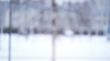 Noel kar yağışı, doğanın arka planında, kış boyunca dallanmış ağaçlarla birlikte 4K videosunda. Soğuk hava. 4K kopyalama uzayı.