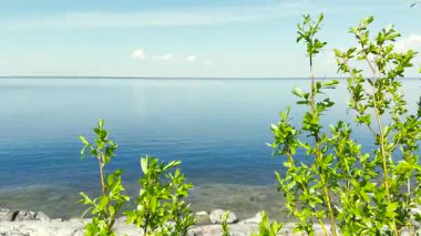 4K Majestic güneşli deniz ufkuyla manzara. İnanılmaz bir deniz feneri ve gökyüzü bulutları. Renkli beyaz bulutlar Doğa çevre arkaplanı.