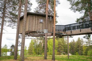 Ağaç ev. Avrupa 'daki yeşil bir yaz harikalar diyarındaki çam ağacına dayanan ormandaki güzel kırsal ahşap ağaç ev.