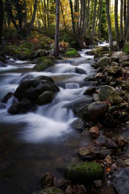 Nehrin geçtiği ve suyun kenarlardan geçtiği bir ormanın içinde. Ağaçlar sonbaharın gelmesiyle yapraklarını döküyorlar..