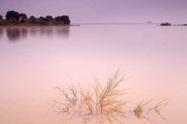 Su tarafından yutulan küçük bir çalı bir kıyıya yakın ve arka planda rezervuarın diğer kıyısı.
