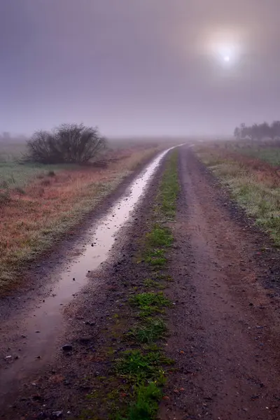 A path with puddled water on a foggy day where you can see the sun weakly covered by clouds and fog