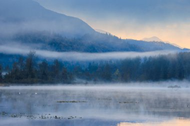Ekim sabahı, arka planda, orman ve göl üzerindeki sis dağları.