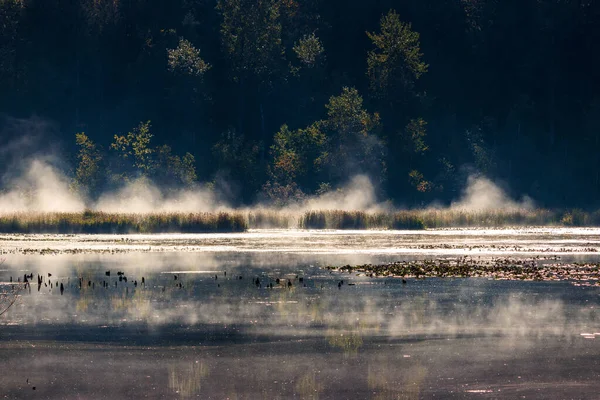 Luce Del Sole Splende Lago Tranquillo Una Nebbia Nebbiosa Mattina — Foto Stock