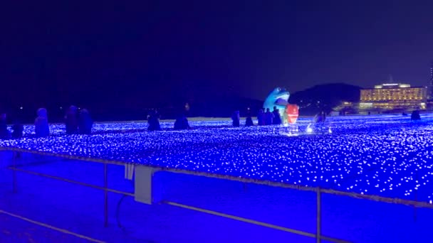 Fényshow Haeundae Tengerparton Éjjel Dél Korea Kiváló Minőségű Felvétel — Stock videók