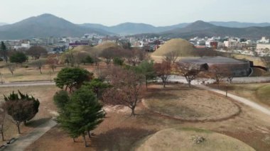 Daereungwon Mezar Kompleksi Gyeongju, Güney Kore 'de kışın gölet manzarası. Yüksek kalite 4k görüntü